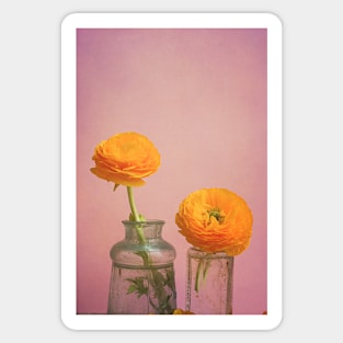 Yellow Flowers in Vintage Vases Sticker